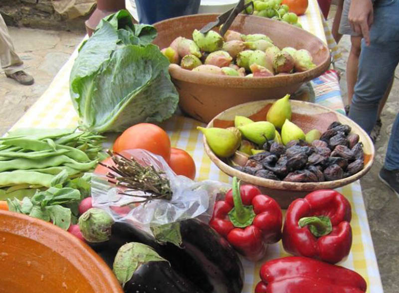 Sul Informação - Grupos de Ação Local apoiam a pequena agricultura, adaptando medidas aos novos tempos