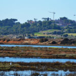 Sul Informação - Dique reconstruído na Ria de Alvor foi inaugurado pela secretária de Estado das Pescas
