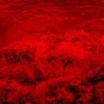 Sul Informação - Fotografia, cerâmica e pintura em destaque nas galerias de Albufeira
