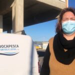 Sul Informação - No Algarve, «ainda é o polvo quem mais ordena»
