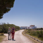 Sul Informação - Fotogaleria: Cultura e ambiente estão de mãos dadas no Parque Natural da Ria Formosa até domingo