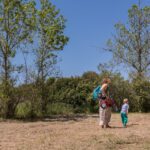 Sul Informação - Fotogaleria: Cultura e ambiente estão de mãos dadas no Parque Natural da Ria Formosa até domingo
