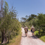 Sul Informação - Fotogaleria: Cultura e ambiente estão de mãos dadas no Parque Natural da Ria Formosa até domingo