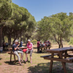 Sul Informação - Fotogaleria: Cultura e ambiente estão de mãos dadas no Parque Natural da Ria Formosa até domingo