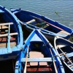 Sul Informação - Imagens de um singular Algarve – Memória das orgânicas embarcações