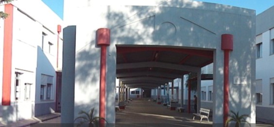 Sul Informação - Novos espaços desportivos e de lazer nascem em escola de Lagoa – mas são para todos