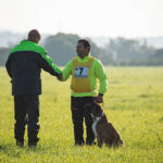 Sul Informação - Cão algarvio é vice-campeão de Portugal em pistagem, obediência e proteção canina