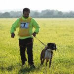 Sul Informação - Cão algarvio é vice-campeão de Portugal em pistagem, obediência e proteção canina