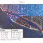 Sul Informação - Cavalos-marinhos da Ria Formosa ganham áreas de refúgio em Faro e Olhão