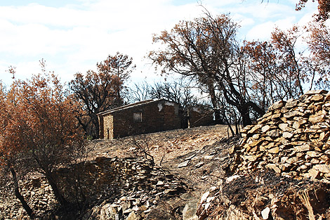 Sul Informação - Resposta do Governo aos incêndios no Caldeirão tornou-se Lei