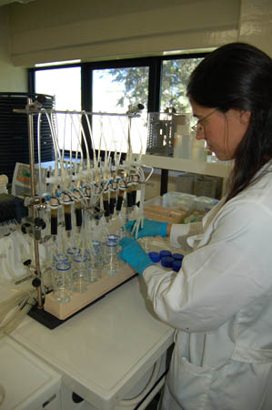 Sul Informação - Universitária do Algarve Elsa Mesquita ganhou prémio nacional