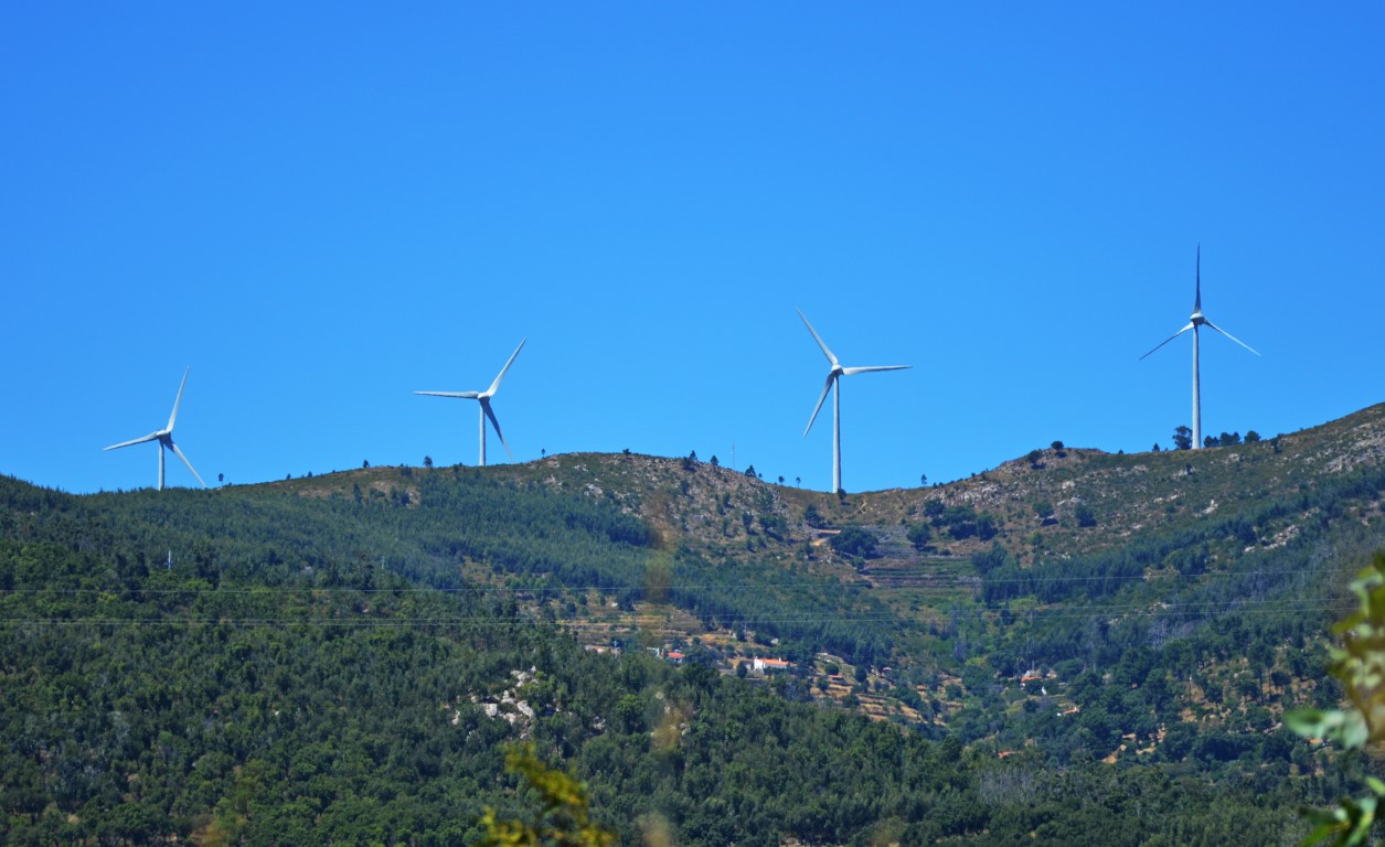 Sul Informação - 73% da produção de energia elétrica em Dezembro foi de fontes renováveis