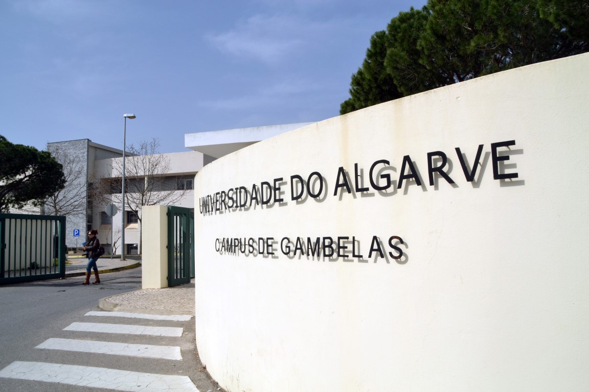 Sul Informação - “IX Reunião do Quaternário Ibérico” traz fórum internacional à Universidade do Algarve
