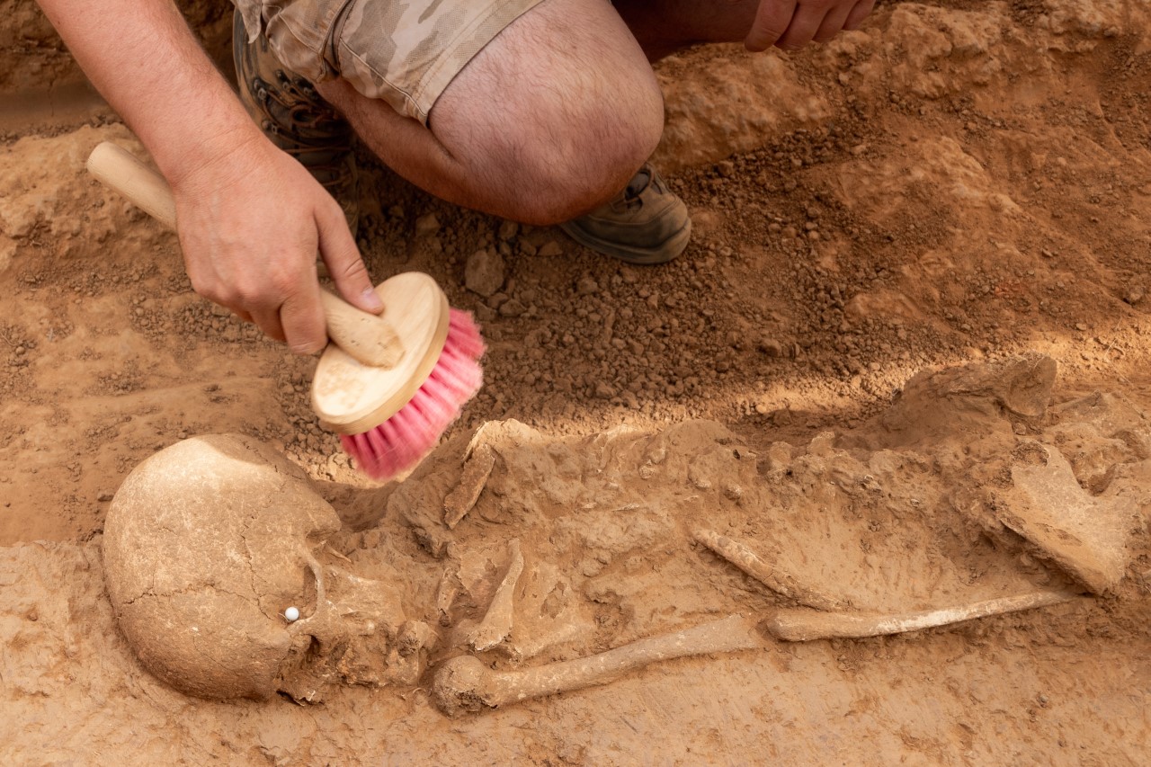 Sul Informação - Arqueologia: As telhas que cobriram a vida e a morte na Cacela islâmica