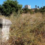Sul Informação - Cidade romana de Balsa começa a “falar” com os arqueólogos