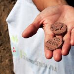 Sul Informação - Cidade romana de Balsa começa a “falar” com os arqueólogos