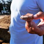 Sul Informação - Cidade romana de Balsa começa a “falar” com os arqueólogos