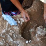 Sul Informação - Arqueólogos investigam estuques do milenar Palácio das Varandas do Castelo de Silves