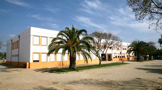 Sul Informação - Município de Albufeira substitui coberturas de amianto na escola EB 2,3 de Ferreiras