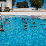 Sul Informação - Escola de Natação de Montemor-o-Novo funciona nas Piscinas Recreativas durante o Verão