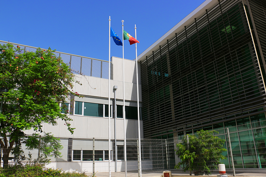 Sul Informação - Pais algarvios querem igualdade no acesso à universidade e no ensino à distância