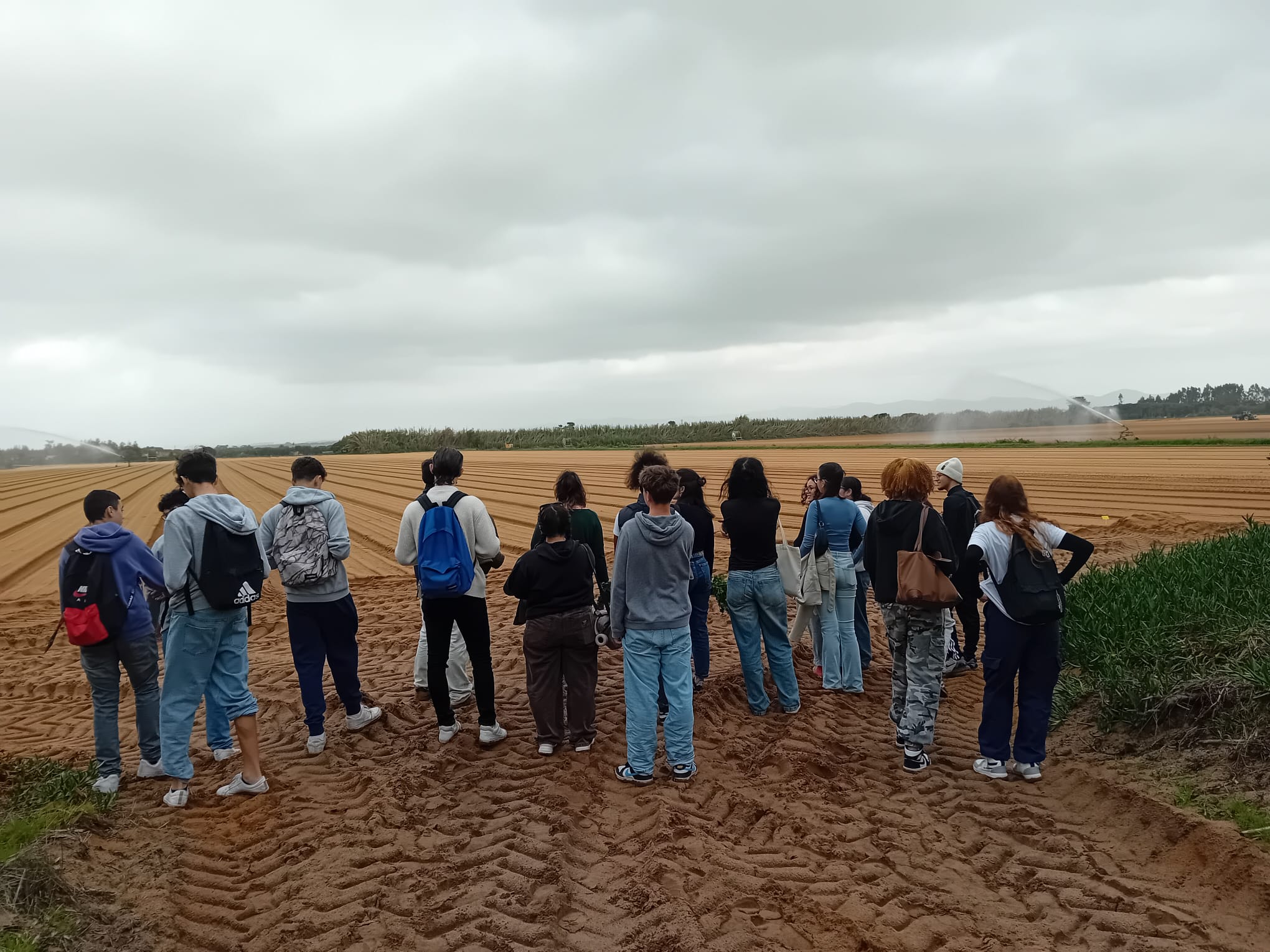 Sul Informação - Alunos do secundário de Odemira visitam explorações agrícolas do concelho