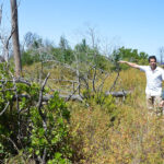 Sul Informação - Arqueólogos escavam o Cerro do Ouro, para descobrir os mistérios da Serra de Monchique