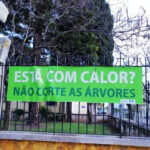 Sul Informação - Espaços verdes, precisam-se!