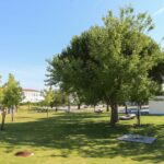 Sul Informação - Reguengos de Monsaraz vai poupar mais de 300 milhões de litros de água com novas medidas