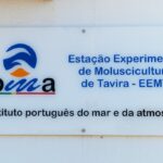 Sul Informação - Também já se aprende a ser viveirista na escola