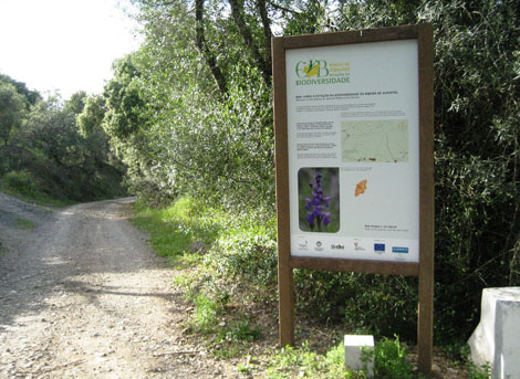 Sul Informação - LPN promove passeio à Estação de Biodiversidade da Ribeira do Alportel no sábado