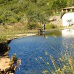 Sul Informação - Espécie rara de borboleta encontrada na Estação de Biodiversidade da Ribeira de Quarteira