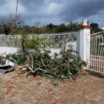 Sul Informação - Com som de «aviões» e «grande força», o tornado deixou rasto de destruição em Olhão