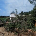 Sul Informação - Com som de «aviões» e «grande força», o tornado deixou rasto de destruição em Olhão