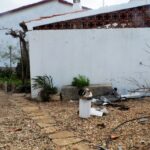 Sul Informação - Com som de «aviões» e «grande força», o tornado deixou rasto de destruição em Olhão