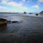 Sul Informação - Ilha de Tavira “lambe feridas” do temporal enquanto espera pelo próximo