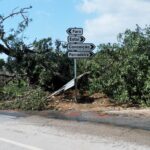 Sul Informação - Com som de «aviões» e «grande força», o tornado deixou rasto de destruição em Olhão