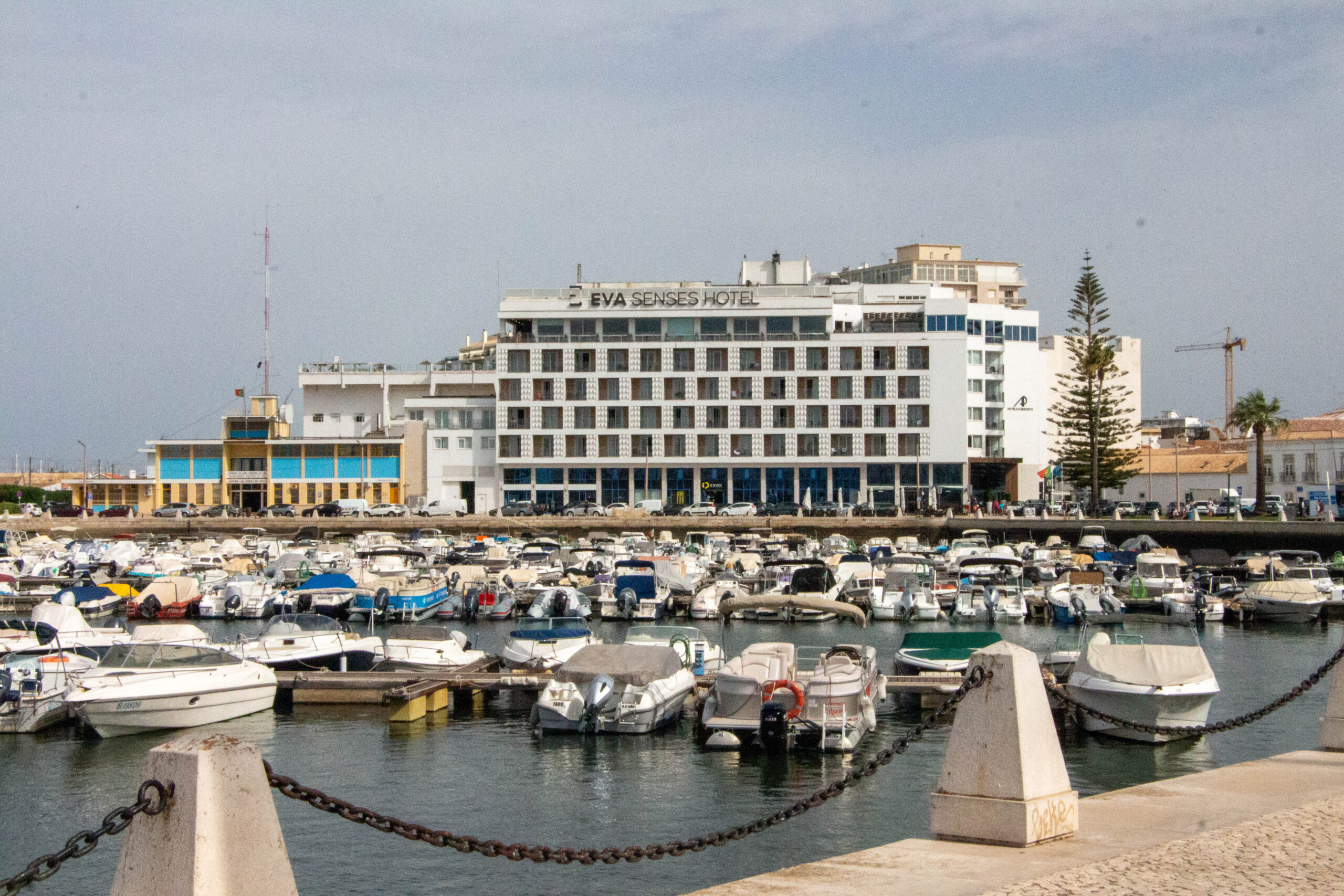 Sul Informação - Faro recebe encontro no âmbito da próxima Bienal de Arquitetura de Veneza