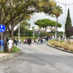 Sul Informação - Escola de Quarteira testou procedimentos de evacuação em caso de sismo seguido de tsunami