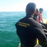Sul Informação - 173 operacionais participam em exercício de salvamento no mar em Portimão
