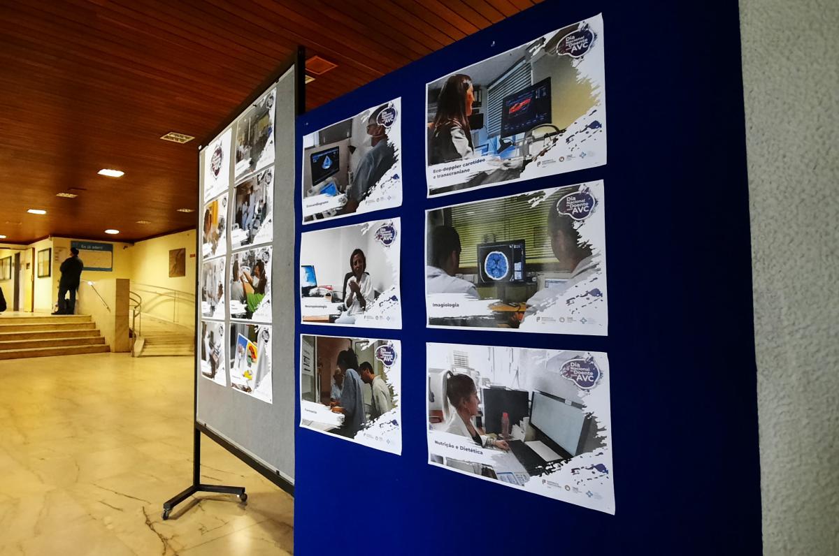 Sul Informação - Exposições assinalam o Dia Nacional do Doente com AVC no CHUA