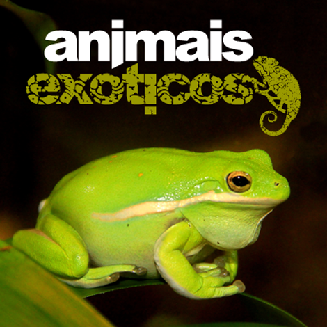 Sul Informação - Produtora UAU anima Palácio de Congressos do Algarve e promete ficar todo o ano