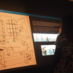 Sul Informação - Museu de Portimão revela peças arqueológicas descobertas no Arade por projeto inédito