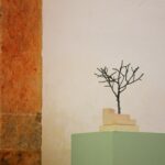 Sul Informação - Já há um «Parque de Diversão» na antiga capela do convento que hoje é o Museu de Faro