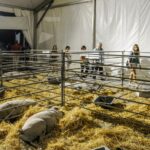 Sul Informação - FACECO com “prata da casa” cumpriu expetativas e levou 30 mil a São Teotónio (com fotos)