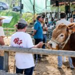 Sul Informação - FACECO com “prata da casa” cumpriu expetativas e levou 30 mil a São Teotónio (com fotos)