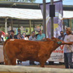 Sul Informação - Questão da água para a agricultura (e não só) domina abertura da FACECO