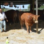 Sul Informação - Questão da água para a agricultura (e não só) domina abertura da FACECO
