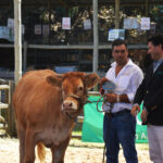 Sul Informação - Questão da água para a agricultura (e não só) domina abertura da FACECO
