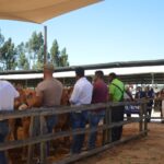 Sul Informação - Questão da água para a agricultura (e não só) domina abertura da FACECO